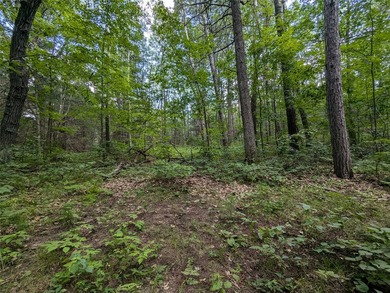 Discover your own slice of tranquility with these wooded lots - photo 3