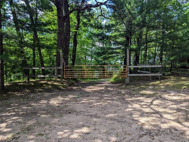 Discover your own slice of tranquility with these wooded lots - photo 8