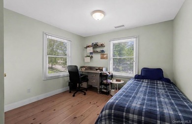 GREAT NECK VILLAGE PRIME LOCATION! Renovated And Move-In Ready - photo 23
