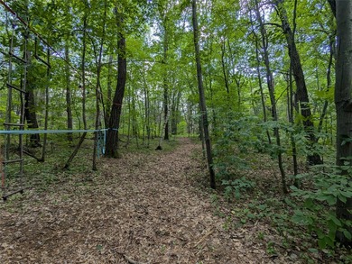 Discover your own slice of tranquility with these wooded lots - photo 4