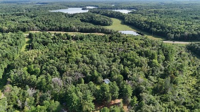 Discover your own slice of tranquility with these wooded lots - photo 8