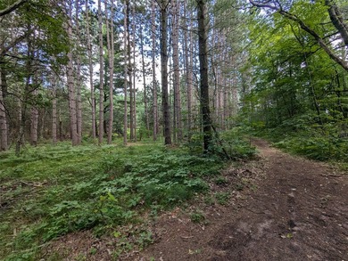 Big Sand Lake - Burnett County Lot For Sale in Webster Wisconsin