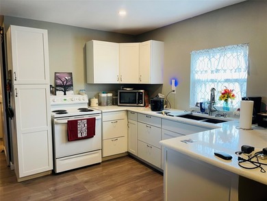 Welcome to your dream retirement retreat in the heart of Whitney - photo 7