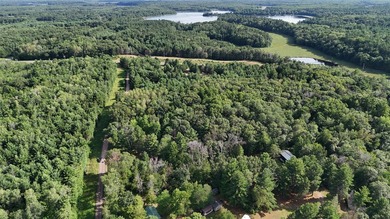 Discover your own slice of tranquility with these wooded lots - photo 7