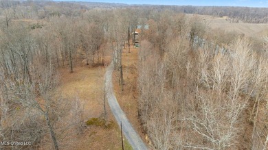 Rare opportunity to own 21+ acres in the heart of Hernando! This - photo 25