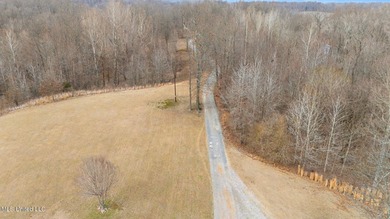 Rare opportunity to own 21+ acres in the heart of Hernando! This - photo 26