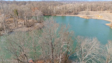 Rare opportunity to own 21+ acres in the heart of Hernando! This - photo 27
