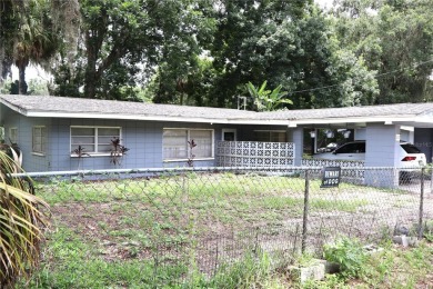 Lake Panasoffkee Home For Sale in Lake Panasoffkee Florida