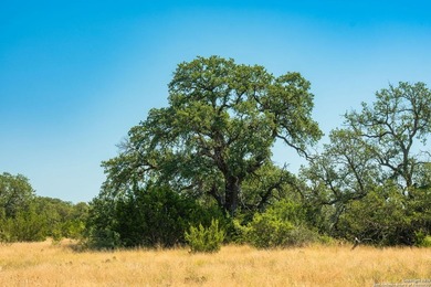 This 576 acre ranch offers a rare combination of a quarter mile - photo 16