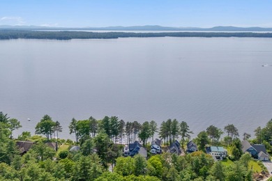 This is a rare opportunity to experience luxury lakefront living - photo 29