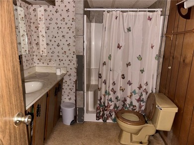 WELCOME TO YOUR COZY HOME in the heart of Bull Shoals, AR - photo 10