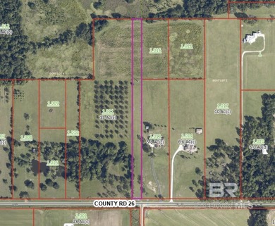 Approximately 2.5 acres located on County Road 26 in Foley. This - photo 1