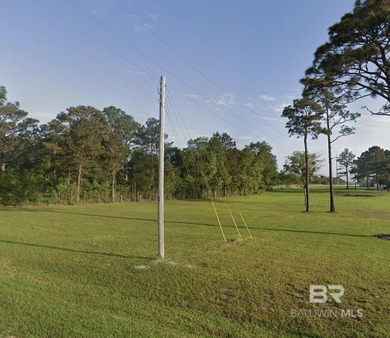 Approximately 2.5 acres located on County Road 26 in Foley. This - photo 3