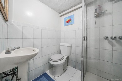 The Canarsie Brick Townhome. This well maintained townshouse has - photo 15