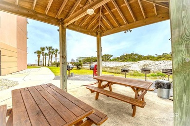 INCREDIBLE GULF VEW!! 'FUR BABIES* WELCOME!! Up to 2 dogs - photo 10