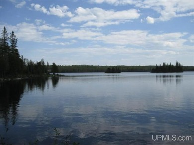 Lake Acreage For Sale in Michigamme, Michigan