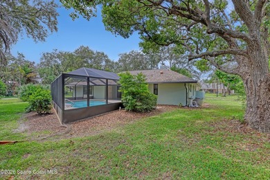 Beautiful Corner Lot Pool Home on 1/3 Acre in Established Turkey - photo 43