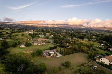 Perfectly located in Upcountry Maui's highly coveted Kula Glen - photo 44