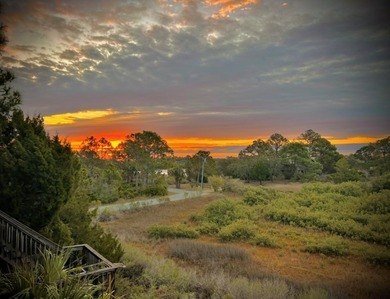 You'll feel like you are in a tree house when you look out over - photo 2