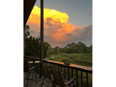 You'll feel like you are in a tree house when you look out over - photo 5