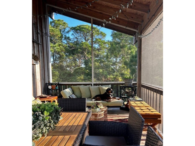 You'll feel like you are in a tree house when you look out over - photo 9