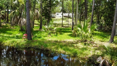 Welcome to your own slice of Old Florida paradise in the - photo 5