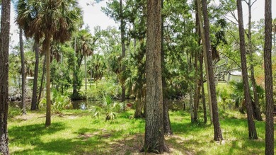 Welcome to your own slice of Old Florida paradise in the - photo 7