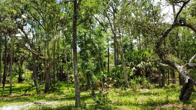 Welcome to your own slice of Old Florida paradise in the - photo 8