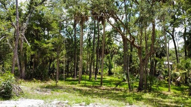 Welcome to your own slice of Old Florida paradise in the - photo 9