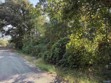 Lake Guntersville Lot For Sale in Scottsboro Alabama