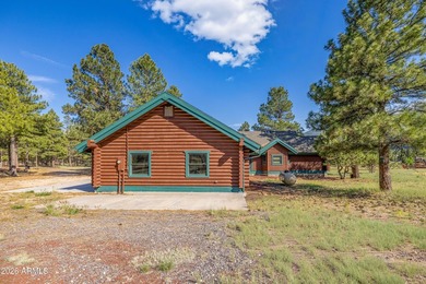 Fantastic 3 bed, 2.5 bath true log cabin on 1.1 acres in - photo 5