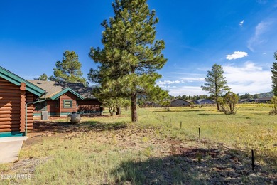 Fantastic 3 bed, 2.5 bath true log cabin on 1.1 acres in - photo 6