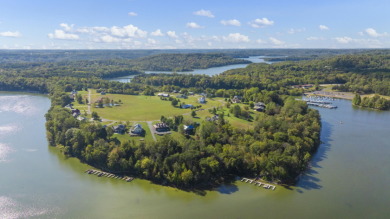 OPEN HOUSE SATURDAY JULY 4TH FROM 12-2 LAKE TIME - photo 7