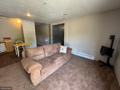 Endless Opportunities with Commercial & Residential Multi-Zoned - photo 3