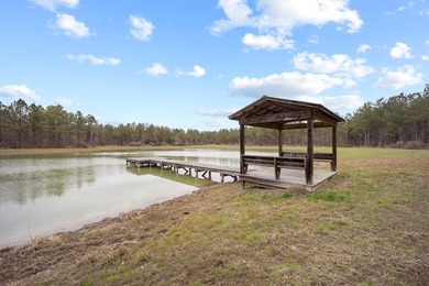 Owl Creek is located on the AL/MS boundary in Pickens County, AL - photo 28