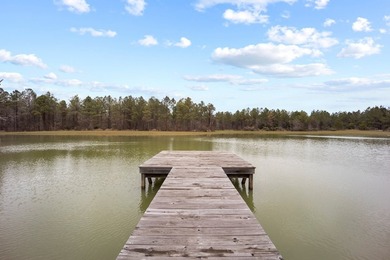 Owl Creek is located on the AL/MS boundary in Pickens County, AL - photo 29