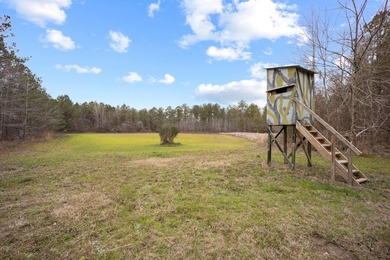 Owl Creek is located on the AL/MS boundary in Pickens County, AL - photo 30