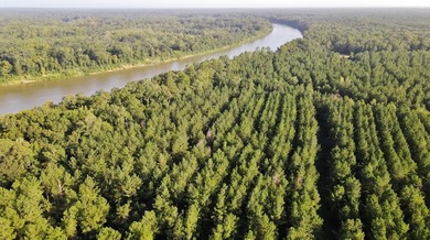 Owl Creek is located on the AL/MS boundary in Pickens County, AL - photo 31