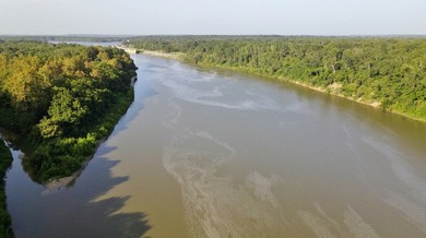 Owl Creek is located on the AL/MS boundary in Pickens County, AL - photo 32