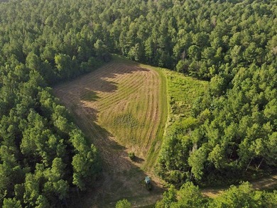 Owl Creek is located on the AL/MS boundary in Pickens County, AL - photo 33