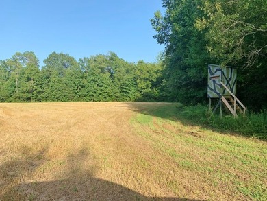 Owl Creek is located on the AL/MS boundary in Pickens County, AL - photo 34
