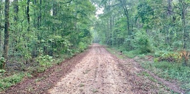 Owl Creek is located on the AL/MS boundary in Pickens County, AL - photo 35