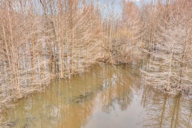 Owl Creek is located on the AL/MS boundary in Pickens County, AL - photo 37