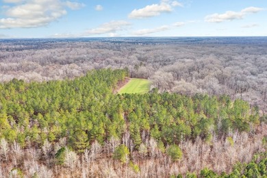 Owl Creek is located on the AL/MS boundary in Pickens County, AL - photo 38