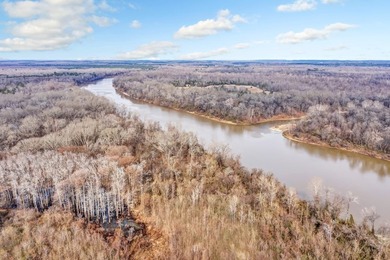 Owl Creek is located on the AL/MS boundary in Pickens County, AL - photo 40