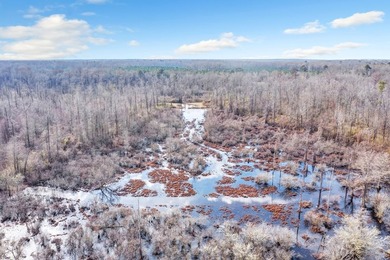 Owl Creek is located on the AL/MS boundary in Pickens County, AL - photo 41