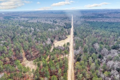 Owl Creek is located on the AL/MS boundary in Pickens County, AL - photo 43