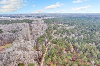 Owl Creek is located on the AL/MS boundary in Pickens County, AL - photo 44
