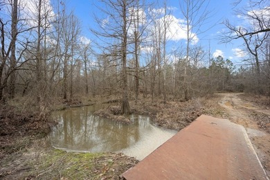 Owl Creek is located on the AL/MS boundary in Pickens County, AL - photo 46