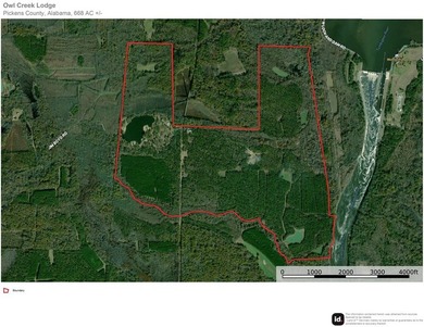 Owl Creek is located on the AL/MS boundary in Pickens County, AL - photo 48